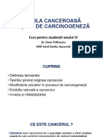 Curs carcinogeneza.pdf