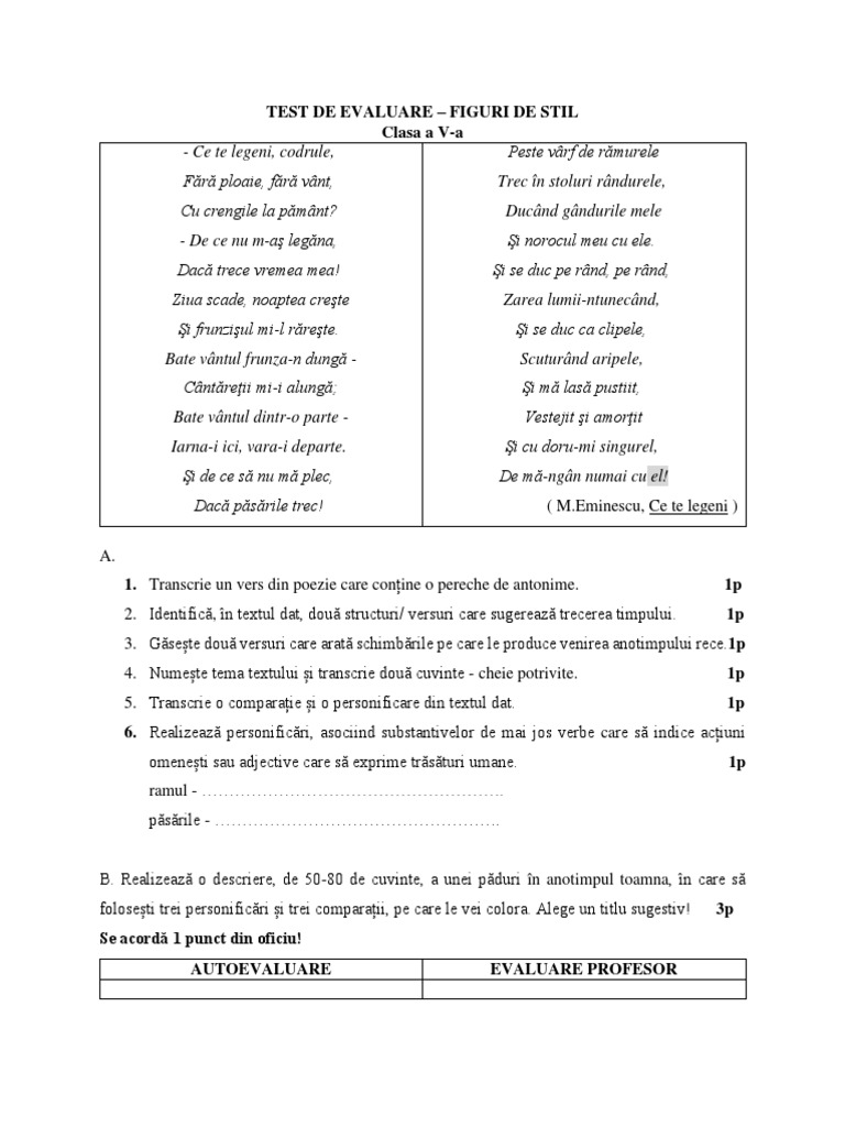 Test de Evaluare Figuri de Stil | PDF