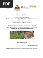 Techniques de culture de l'igname en Côte d'Ivoire | PDF | Agriculture ...