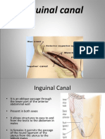 3-Inguinal Canal PDF