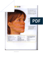anatomia orl.pdf