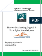 Rapport de Stage: Tuteurs Professionnels