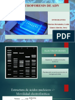 Electroforesis 1 J