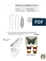 Claves de Lepidópteras