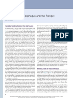 Anatomy of The Esophagus and The Foregut PDF