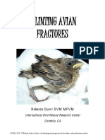 avianfractures.pdf
