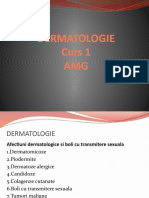 DERMATOLOGIE curs 1 Anca BriceaE.pptx