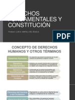 DERECHOS-FUNDAMENTALES-Y-CONSTITUCIÓN.pdf