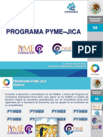 10 Mexico.CONSULTORIA PYME-JICA MEXICO-EMPRENDE.pdf