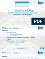 TIA Overview & Outlook Summary