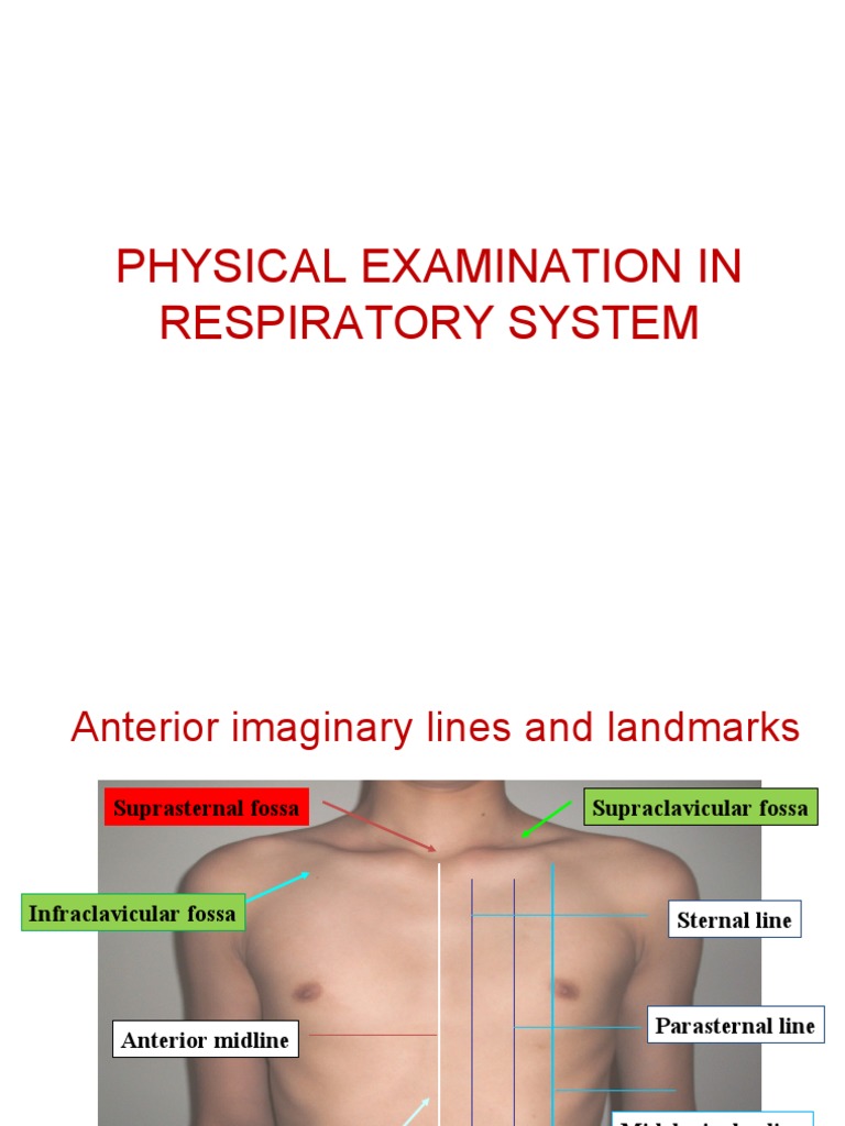 Kronig's Isthmus in Respiratory Exam | PDF | Lung | Respiratory Diseases