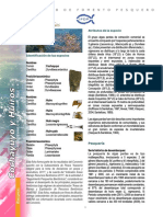 Algas_2012.pdf