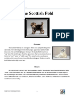 The Scottish Fold