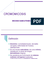 Cromomicosis-1
