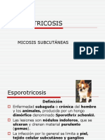 7. Esporotricosis-1