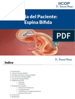 Guía Espina Bífida-Noriega.pdf