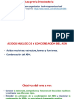 S3. BMA_Ácidos nucleicos y Condensación del ADN_2020-2S.pdf