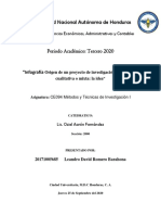 Tarea 3-Idea de investigación-Leandro-Romero PDF