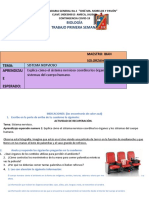 Sistema nervioso coordina cuerpo