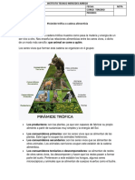 Cadena Alimenticia PDF