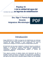 PRÁCTICA 10. INVESTIGACIÓN DE LA MICROFLORA DEL EFLUENTE.pdf