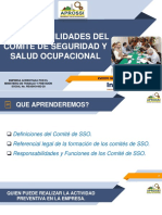 Las Responsabilidades de Los Comites de SSO