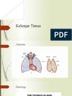 Kelenjar Timus dan Perannya dalam Sistem Kekebalan Tubuh