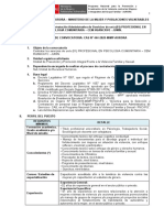 Cem Huancayo PDF