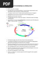 Mp13 Bacteriophage As A Cloning Vector