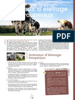 Animaux D'élevage Troupeau PDF