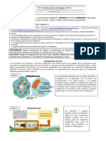 Naturales PDF