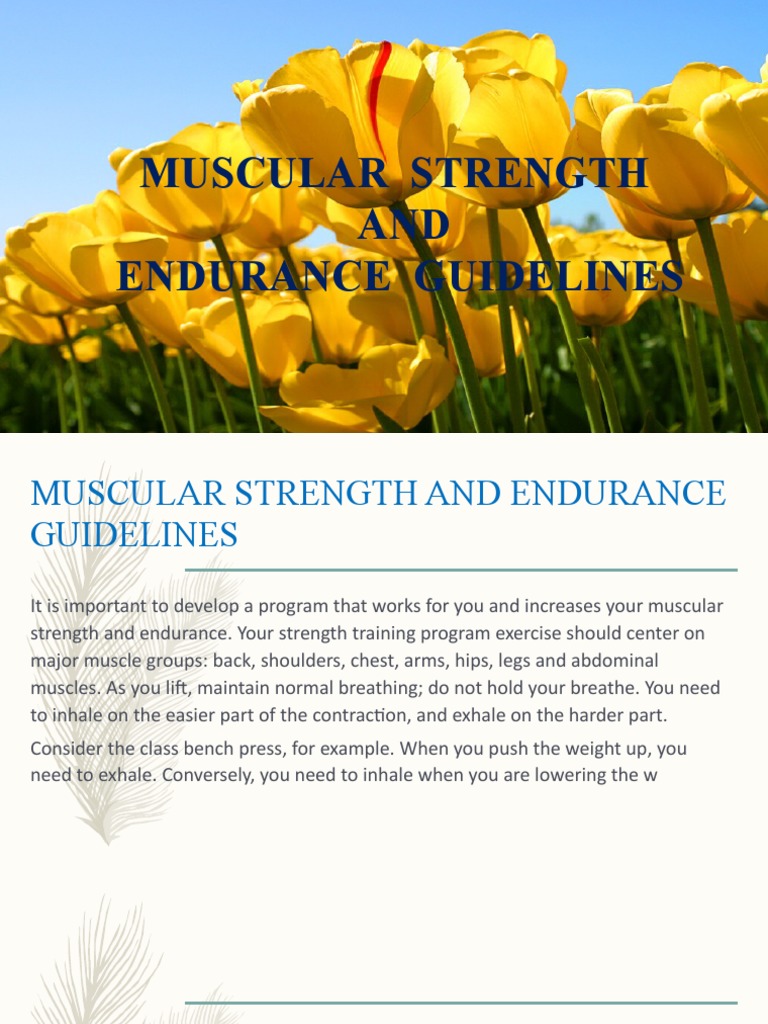 Muscular Strength AND Endurance Guidelines | PDF