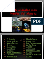 Animales Letales 1