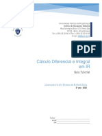 GUIA TUTORIAL - Cálculo Diferencial e Integral em IR 2020