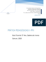 Guia PP II.pdf