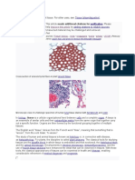 Biological Tissue Types and Functions