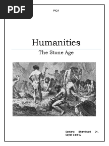 Stone Age