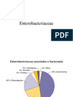 Enterobacteriaceae 1