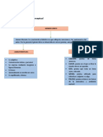 GENERO LIRICO Actividad 1