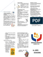 Triptico de La Gripe Estacional PDF