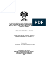 PHBS Si Gibang PDF