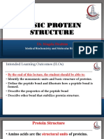 Basic Protein Structure
