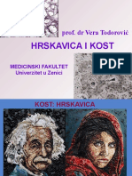 Hrskavica I Kost, Zenica, 2019