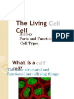 The Living Cell: A Guide to Its History, Parts, Functions and Types