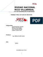 Trabajo FINAL PLan de NEgocios 2011 PDF