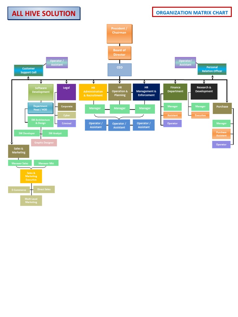 Hive Solution Organization Matrix Chart | PDF | Business | Economies