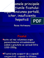 4. hepatite.ppt