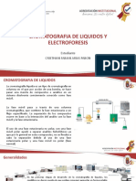 Cromatografia HPLC y Electroforesis