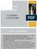 Cashibo Cacataibo