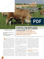 Heterosis Revista de Carne 25092019